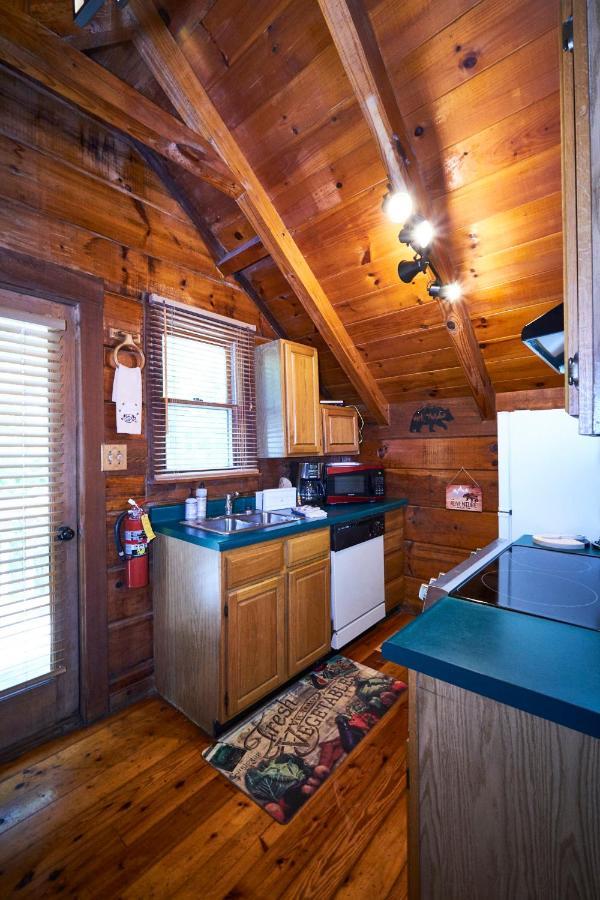 Gatlinburg Area Hottub Cabin - Ladyslipper เซอเวียร์วีล ภายนอก รูปภาพ